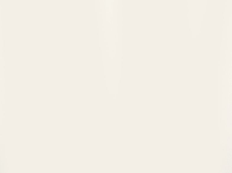 Плита RAUVISIO Brilliant глянцевая, Meringa (белый) 5026B