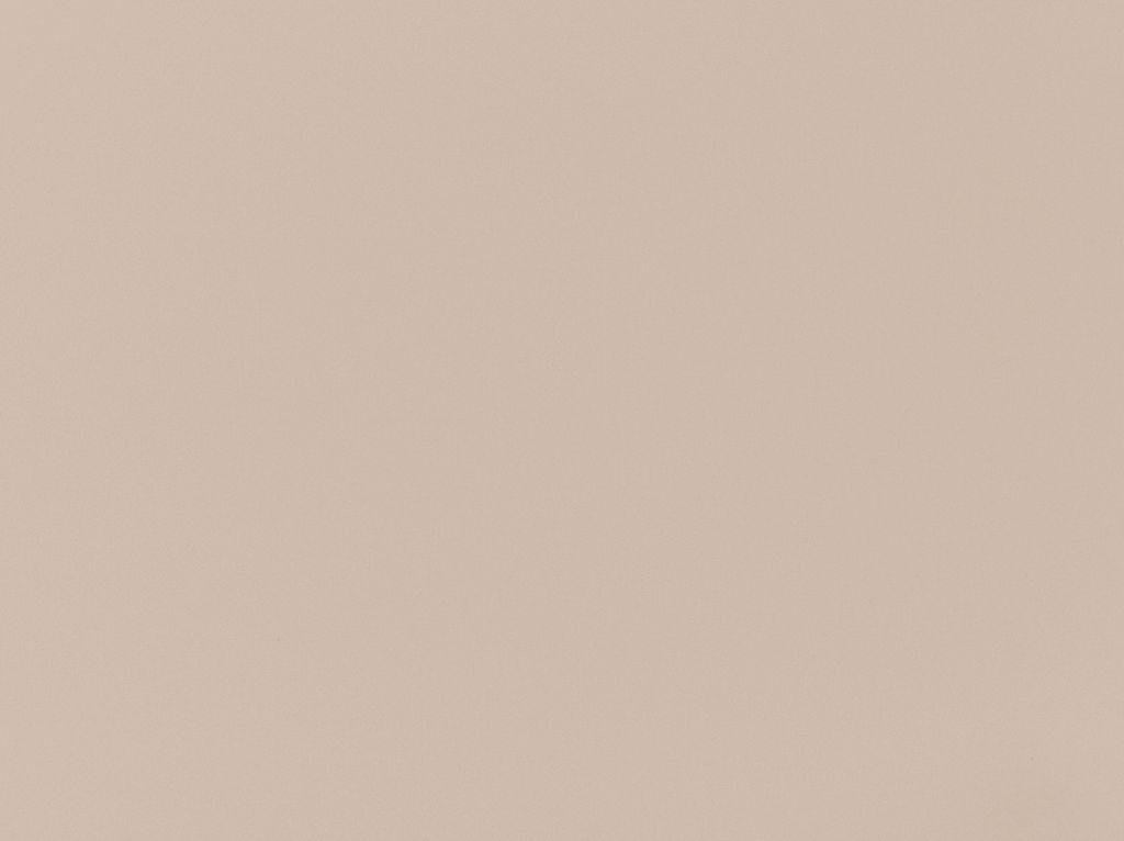 Фасад пленочный 19 мм гладкий Светлый серый Termopal (П-137 /-)