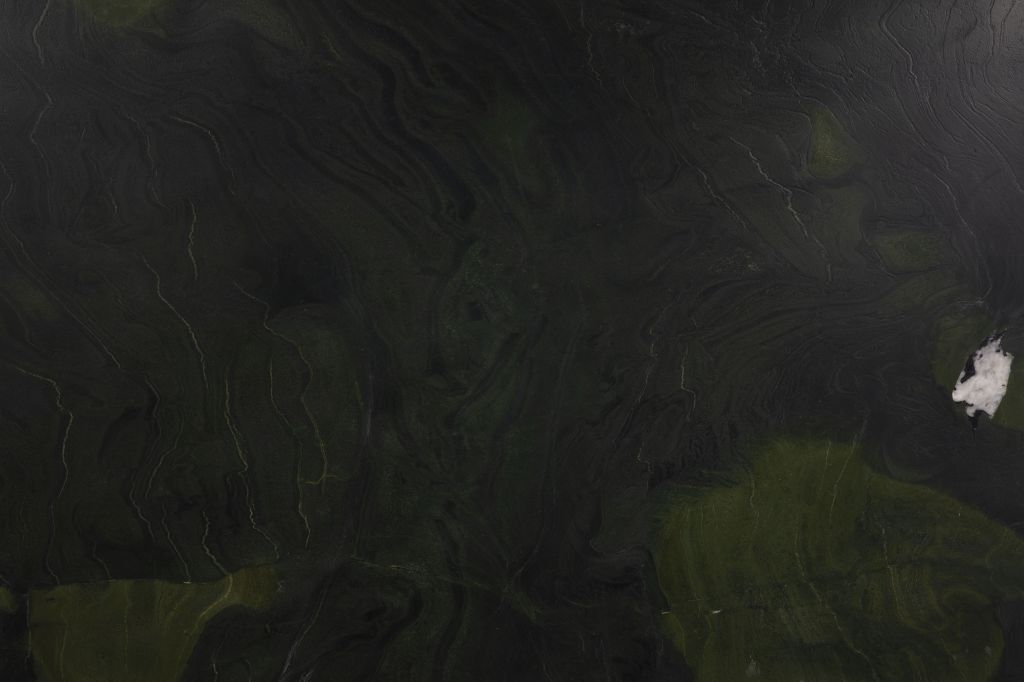 Слеб SERPENTINUS 3250х1960х20 Граніт (тестурований)