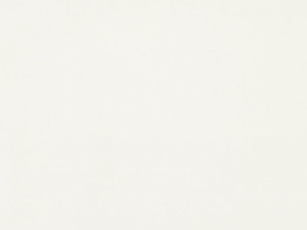 ЛДСП Egger W960 ST7 Білий Класичний 2800x2070x18 (Вологостійка) (JP F0,3)