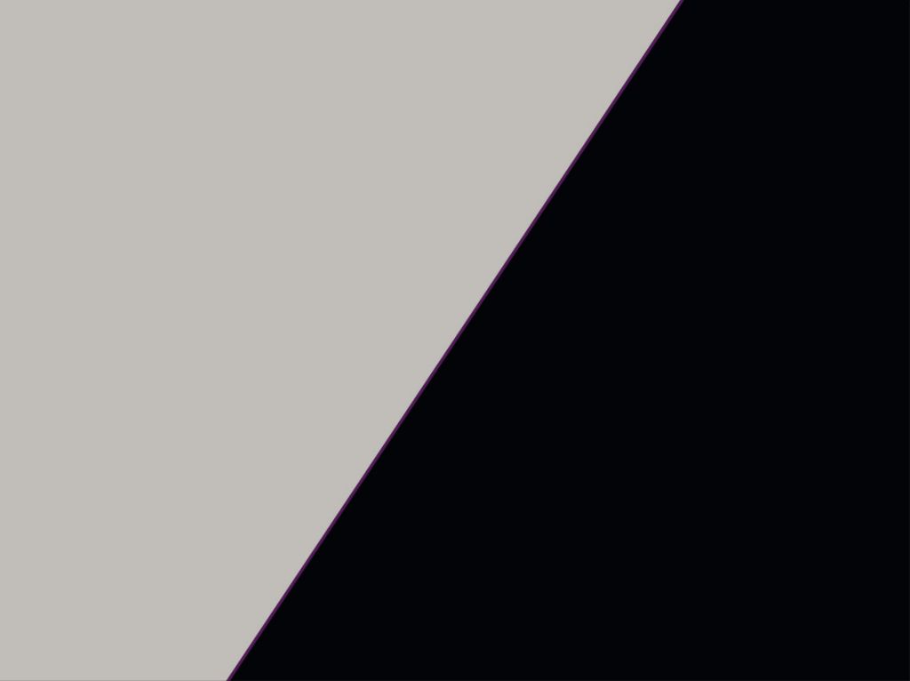 Стінова панель Egger U763 ST76/U999 ST76 4100x640x8