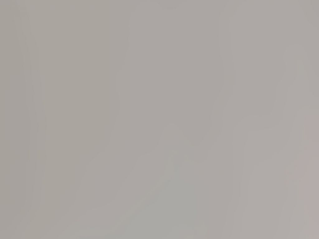 Плита RAUVISIO Brilliant глянцева, Roccia (сірий) 2101L