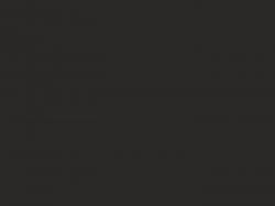 Панель CARBON HPL из МДФ - 8101/1049 - Black