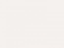 Панель CARBON HPL из МДФ - 8102/1045 - White