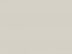 Панель CARBON HPL из МДФ - 8110/1012 - Gray Beige