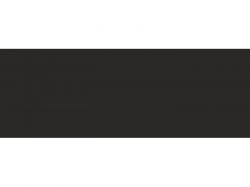 Кромка 22*1 ABS BF - 8101/1049 - Black