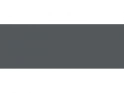 Кромка 22*1 ABS BF - 8103/1001- Anthracite