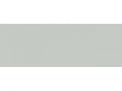 Кромка 22*1 ABS BF - 8105/1009 - Gray