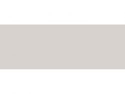 Кромка 22*1 ABS BF - 8109/1023 - Platinum Gray