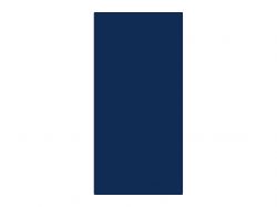 Фасад фарбований металік глянець 19 мм Гладкий RAL 5026