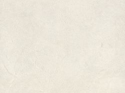 Пластик Egger F649 ST16 Аргиллит белый 2800x1310x0,8 мм