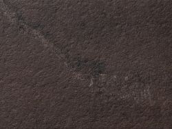 Компакт-плита 4200х650х12 мм 0982 MN Brown Work (Black)(Puricelli)