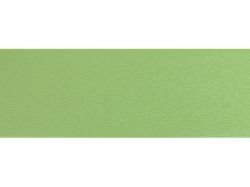 Крайка PVC 22х1,0 511.01 зелена вода PE (Kromag)