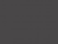 Плита RAUVISIO Crystal глянцева, Grafite (графіт) 2106L