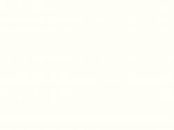 Компакт-плита Egger W1101 ST76 R1,5 Compact Белый Альпийский сплошной 945x650x12