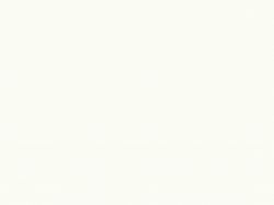 ЛДСП Egger PerfectSense W1000 TM9/ST7 Білий Преміум 2800x2070x18