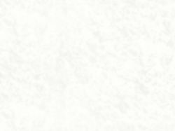 Компакт-плита Fundermax 0085 SX/IP White (White core) 4100х1300х12 мм