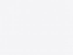 Компакт-плита Fundermax 0606 AP Arctic White (Black core) 4100х640х12 мм