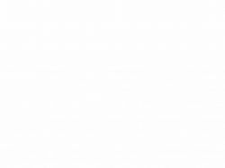 Керамогранит Laminam 3240х1620х12,5 Collection Bianco Assoluto