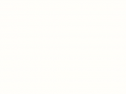 ЛДСП Egger W1100 ST9 Белый Альпийский 2800x2070x18