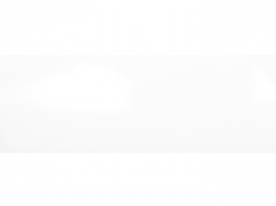 Крайка PVC 22х0,6 201-GP біла глянець (MAAG)