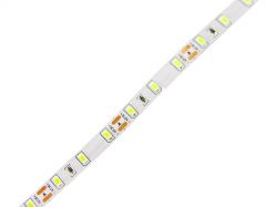 Стрічка LED SMD5630-60L-10 мм (неізол.) IP20 W (білий холодний)