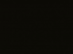 ЛДСП SWISS KRONO U190 PE Черный 2800x2070x10