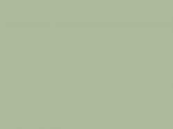 AGT панель 735 Зелений шовк Матовий/Білий PE (RAL 9019) 2800х1220х18