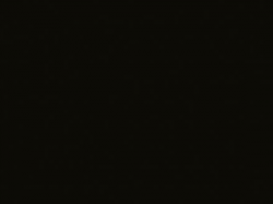 ЛДСП SWISS KRONO U190 PE Черный 2800x2070x16