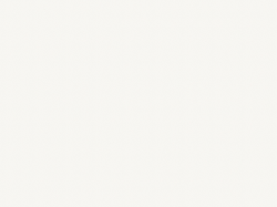 ЛДСП Egger W980 ST2 Белый платиновый 2800x2070x10