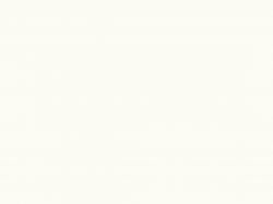 ЛДСП Egger W1000 ST19 Белый Премиум 2800x2070x18