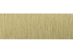 Кромка ABS 22х1,0 мм - 6020 Жовте золото