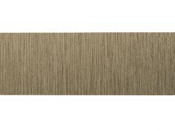 Кромка ABS 22х1,0 мм - 6022 Бронза