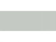 Кромка 22*1 ABS BF - 8105/1009 - Gray