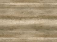 Компакт-плита 4200х640х12 мм 669 ROOT Дуб натуральний (Black core) (Abet Laminati)