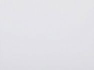 Столешница Gentas Wermodin 3101 Белый 700х1100