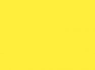 Пластик Egger U131 ST9 Цитрусовый желтый 2800x1310x0,8 мм