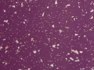 Уцінка. ПФ FAB Італія 4105 LU D2,5 Стелла Віолла (Вологостійка) 4200x600x39