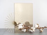 Стекло Stopsol Bronze 4 мм