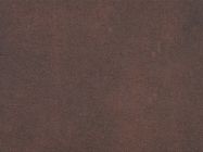 Компакт-плита Puricelli 6300 NK Corten (Kraft) 4200х650х12 мм