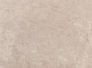 Компакт-плита Puricelli 0218 CY Sahara (Ash) 4200х650х12 мм