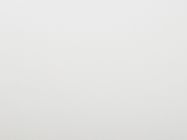 Компакт-плита 4200х650х12 мм 2409 MM Frost White (Ice)(Puricelli)