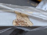 Уценка. ПФ Egger H1401 ST22 R3 Сосна Касцина 4100x600x38