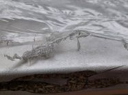 Уцінка. ПФ FAB Італія 3447 KS D4 Сірий туман (Вологостійка) 4190x600x38