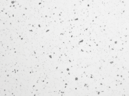 Уцінка. ПФ FAB Італія 4100 Lucido D2,5 Стелла Бьянка (Вологостійка) 4190x600x38