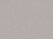 ПФ Egger F234 ST76 R3 Сланец Скиваро светло-серый 4100x600x38