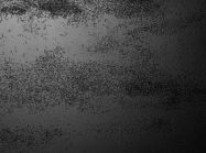 ЛДСП SWISS KRONO 3265 LX Бетон темний 2800x2070x10