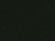 Компакт-плита Fundermax 0080 SX/IP Black (Black core) 4100х1300х12 мм