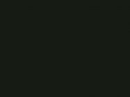 Компакт-плита Fundermax 0080 FH Black (Black core) 4100х640х12 мм