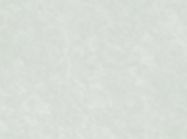 Компакт-плита Fundermax 0741 SX/IP Birch Grey (Black core) 4100х640х12 мм